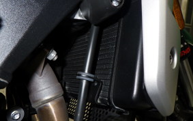 TRIUMPH TRIDENT 660 2021