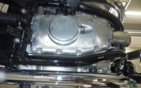 KAWASAKI W800 2024 EJ800E