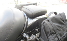 HONDA REBEL 1100 DCT 2023 SC83