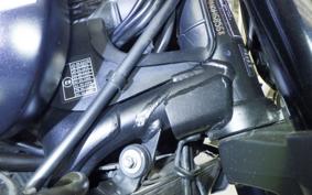 TRIUMPH TRIDENT 660 2021