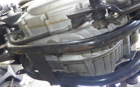 YAMAHA VIRAGO 250 3DM