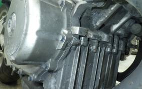 HONDA HORNET 250 1996 MC31