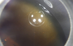 YAMAHA TOWN MATE 50 22F