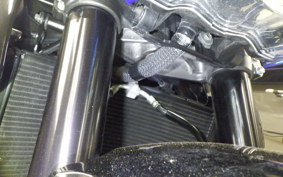 SUZUKI GSX-S 1000 2019