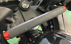 KAWASAKI Ninja 250 SE EX250L