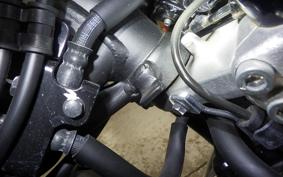 HONDA MONKEY 125 2017 JB03
