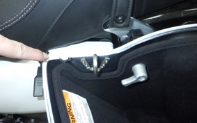 HARLEY FLTRX1920 2024