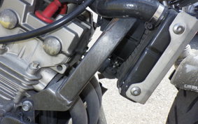 HONDA HORNET 250 MC31