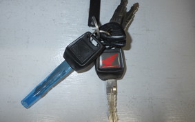HONDA HORNET 2.0