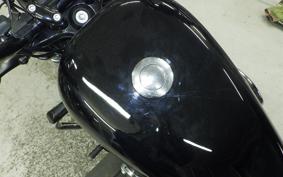 HARLEY XL1200XS 2019