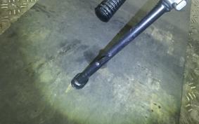 OTHER +MUTT DRK-01 250 1999