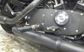 HARLEY XL883N 2010