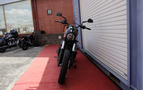 HARLEY HARLEY RH975 NIGHT  STAR 2024 ZH1