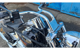 HARLEY FXSTC1340 2010 JL5
