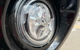 HARLEY FXLRST 2024 YXZ