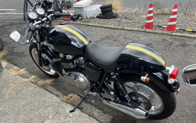 TRIUMPH TRIUMPH THRUXTON 2013 TJ9147