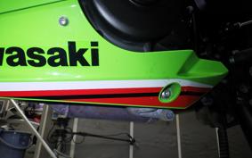 KAWASAKI NINJA 400 2024 EX400L