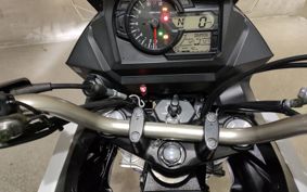 SUZUKI DL650 ( V-Strom 650 ) 2019 C733A