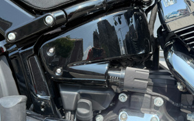 HARLEY FXBRS 2022 YHK