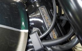 TRIUMPH BONNEVILLE T100 2025