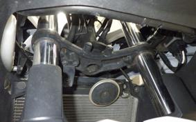 KAWASAKI NINJA 250 EX250L