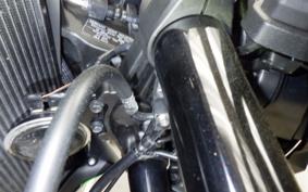 KAWASAKI Z1000 Gen.5 2019 ZXT00W