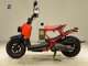 Фото Honda ZOOMER 2008 с японского аукциона