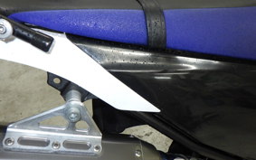 YAMAHA WR250X DG15J