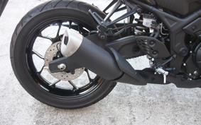 YAMAHA FZ1 FAZER N 2013 RN21J