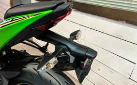 KAWASAKI NINJA ZX-6R 2020 ZX636G