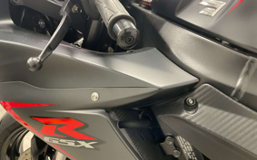 SUZUKI GSX-R600 2018 C3111