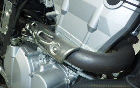 KAWASAKI KLX250D TRACKER X 2017 LX250V