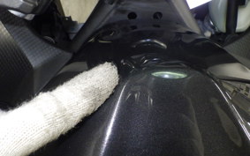 KAWASAKI NINJA 250 2024 EX250Y