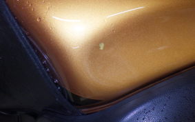 SUZUKI HAYABUSA Gen.2 2010