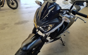 KAWASAKI Z250 ER250C