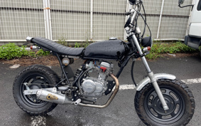 HONDA APE50 AC16