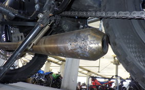 OTHER +UNREGISTERED MODEL by BDS250