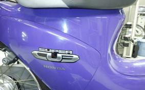 HONDA C110 SUPER CUB 2007 JA07