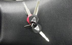 YAMAHA MT-09 2024 RN87J