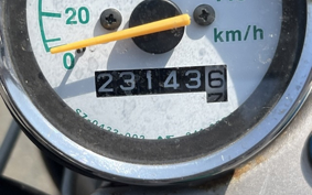 SUZUKI GLASS TRACKER BIG BOY