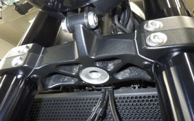 TRIUMPH TRIDENT 660 2021