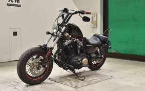 OTHER +HD. XL1200X 2013