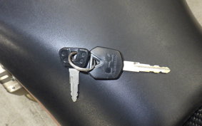 KAWASAKI NINJA 250 EX250L