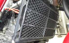SUZUKI RG250 Gamma 1989 GJ21B