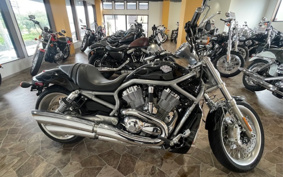 HARLEY  HARLEY VRSCAW 2008 HKH