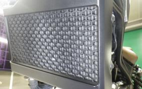 HONDA REBEL 250 S 2025 MC49