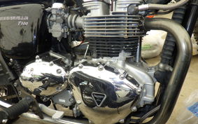 TRIUMPH BONNEVILLE T100 2003