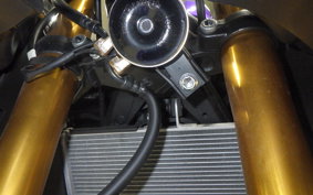 YAMAHA YZF-R25 RG43J