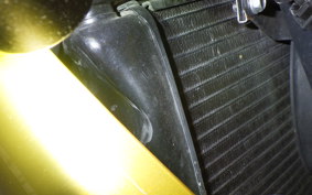 TRIUMPH DAYTONA 675 SE 2013