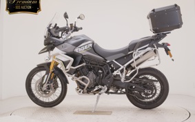 TRIUMPH TIGER900 RALLYARACO 2024